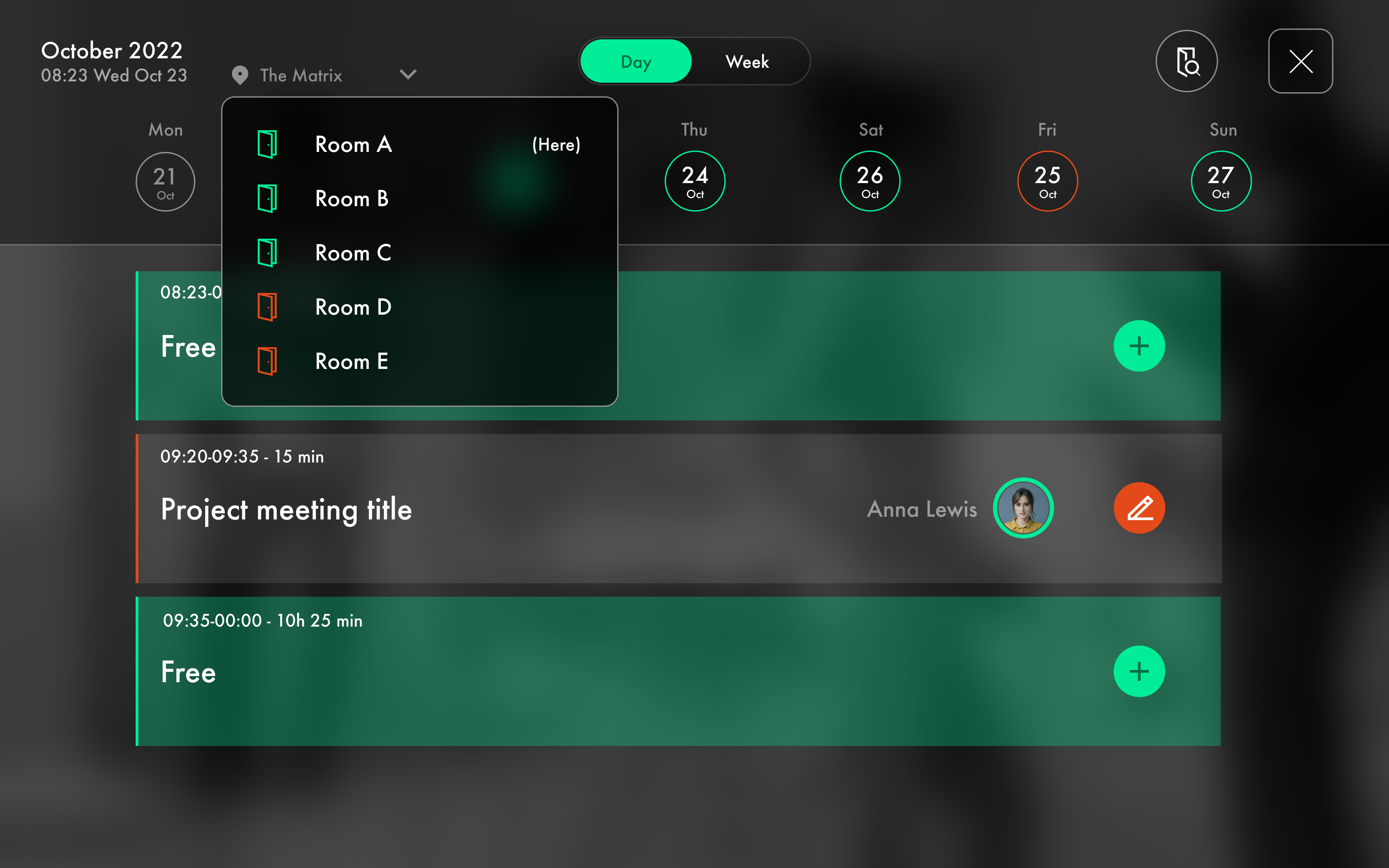 screenshot of Room Display X